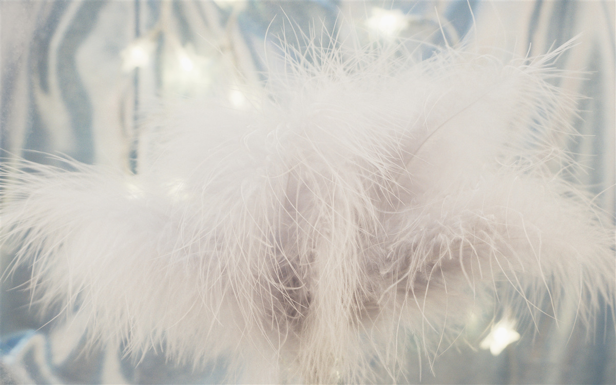 Фотошпалери щільний легкий пух