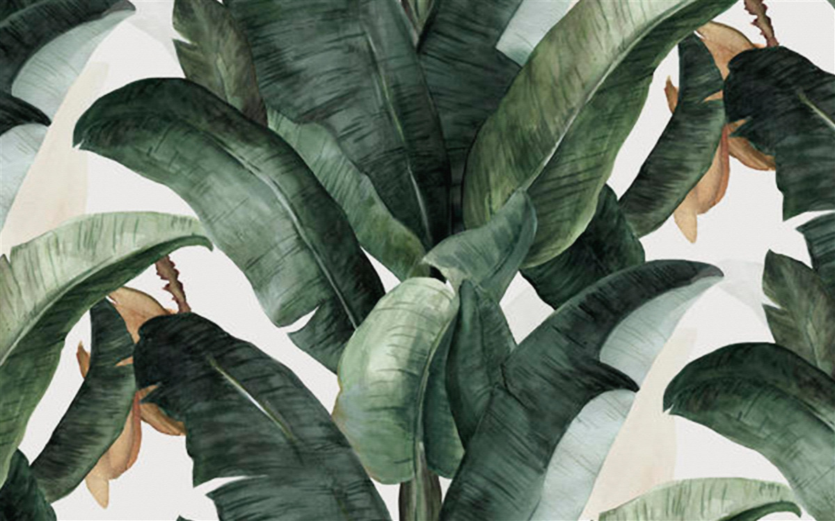 Фотошпалери велике темно-зелене листя з тропічних регіонів