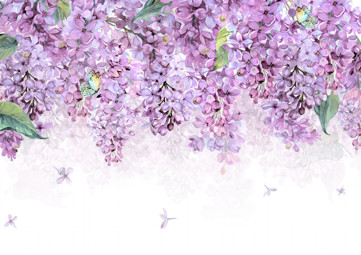 Фотошпалери світло-фіолетова бузкова стіна