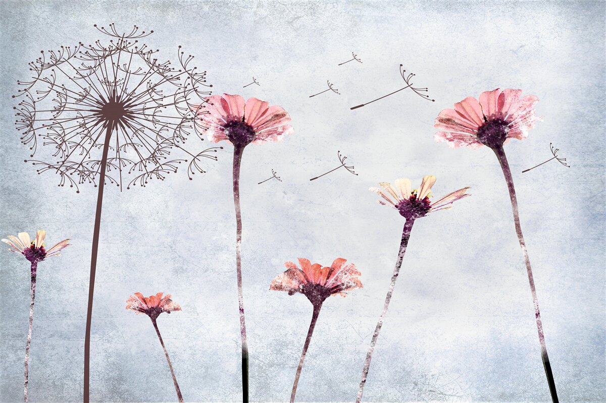 Фотошпалери маки та гербери під сильними поривами вітру