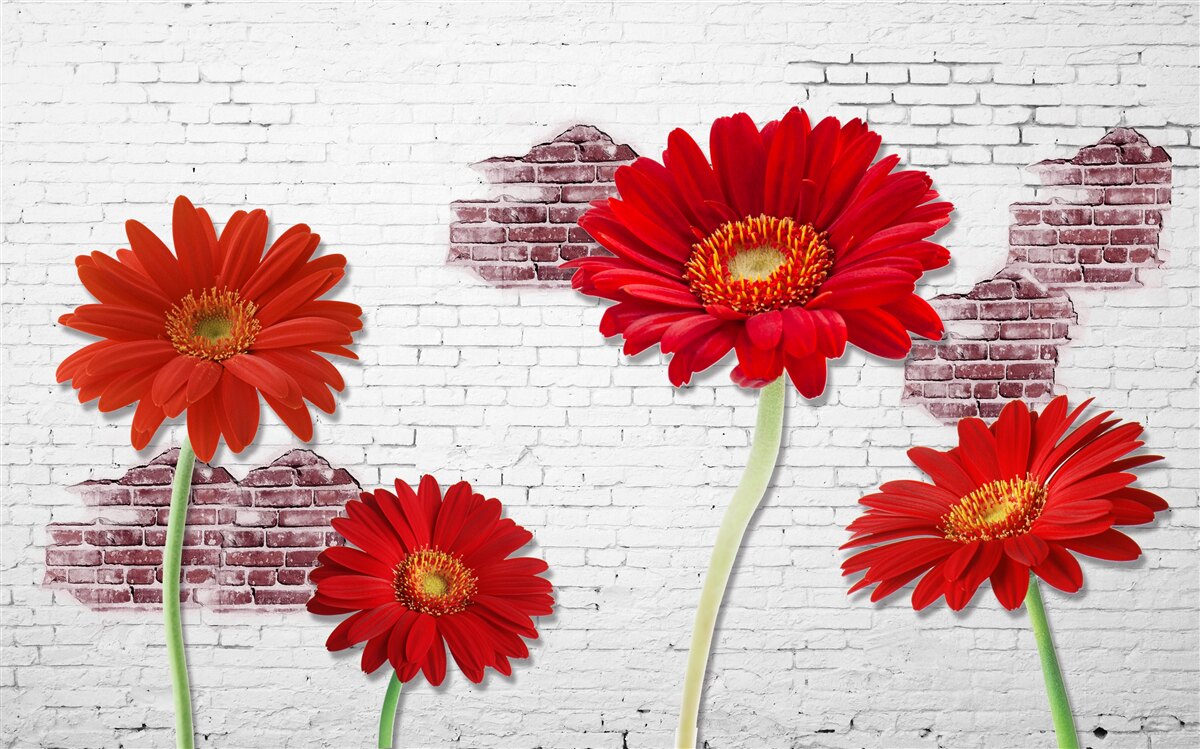 Фотошпалери елегантні червоні гербери