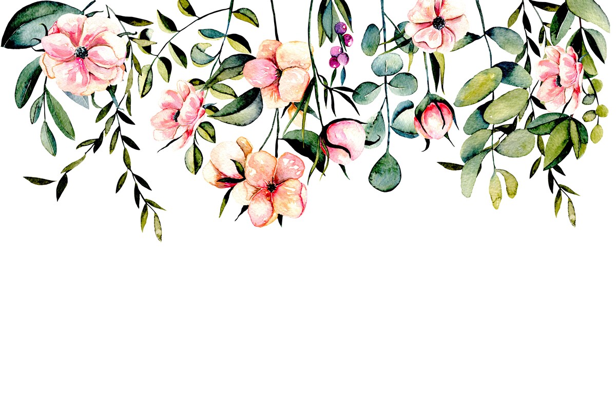 Фотошпалери квіти, що ростуть влітку