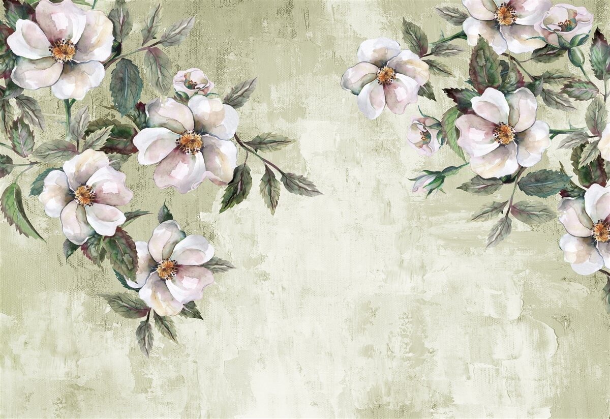 Фотошпалери розлогі гілки білосніжної магнолії