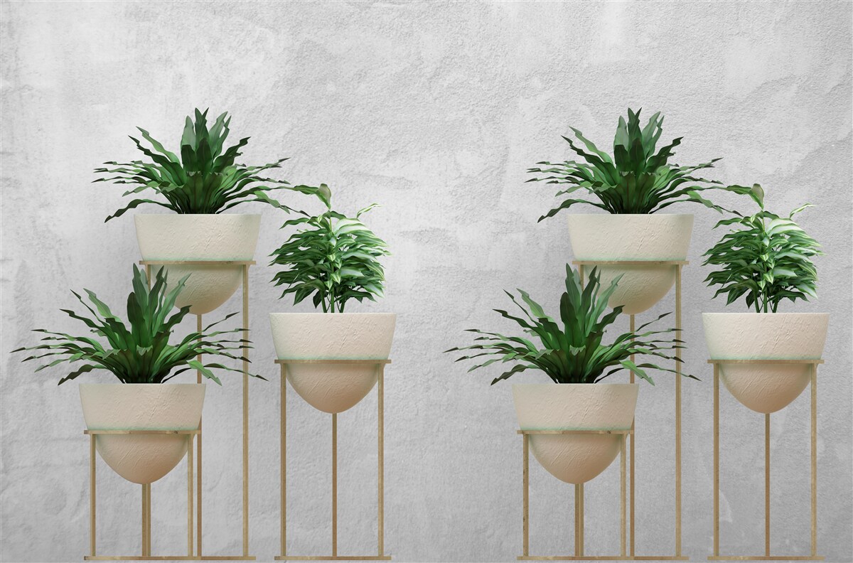 Фотошпалери зелені квіти в ніжних горщиках