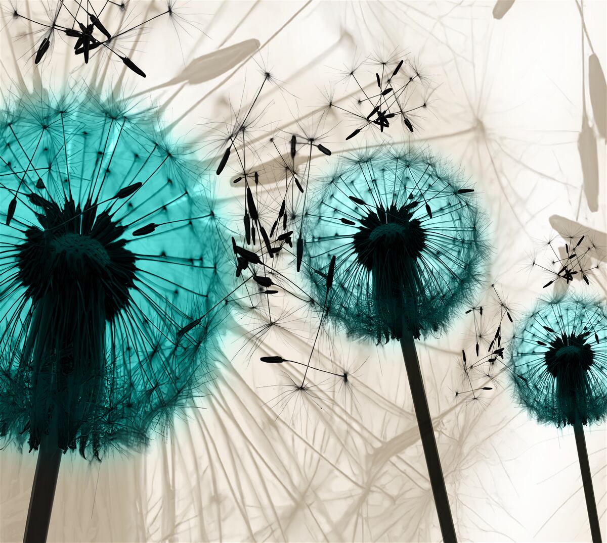 Фотошпалери великі плани кульбаб