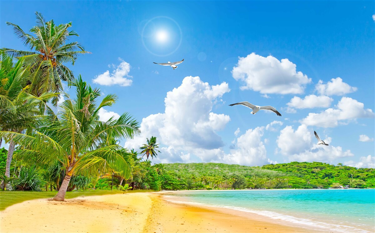 Фотошпалери море і пляж прекрасні