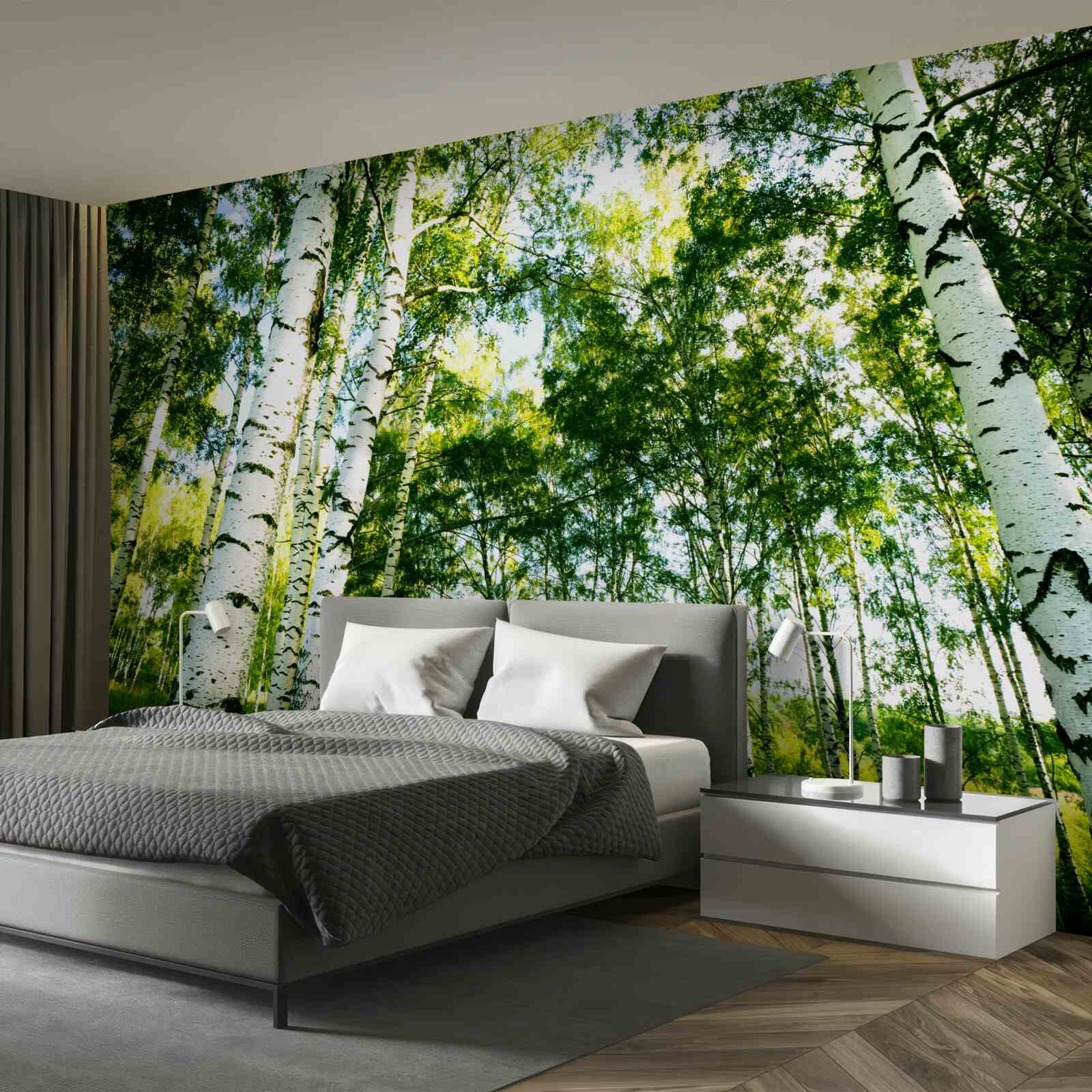 Фотошпалери березовий ліс