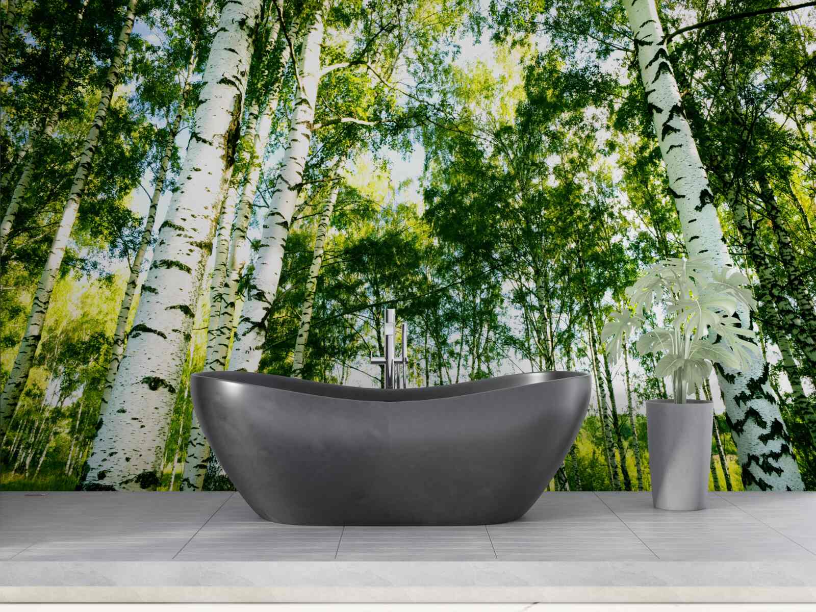 Фотошпалери березовий ліс