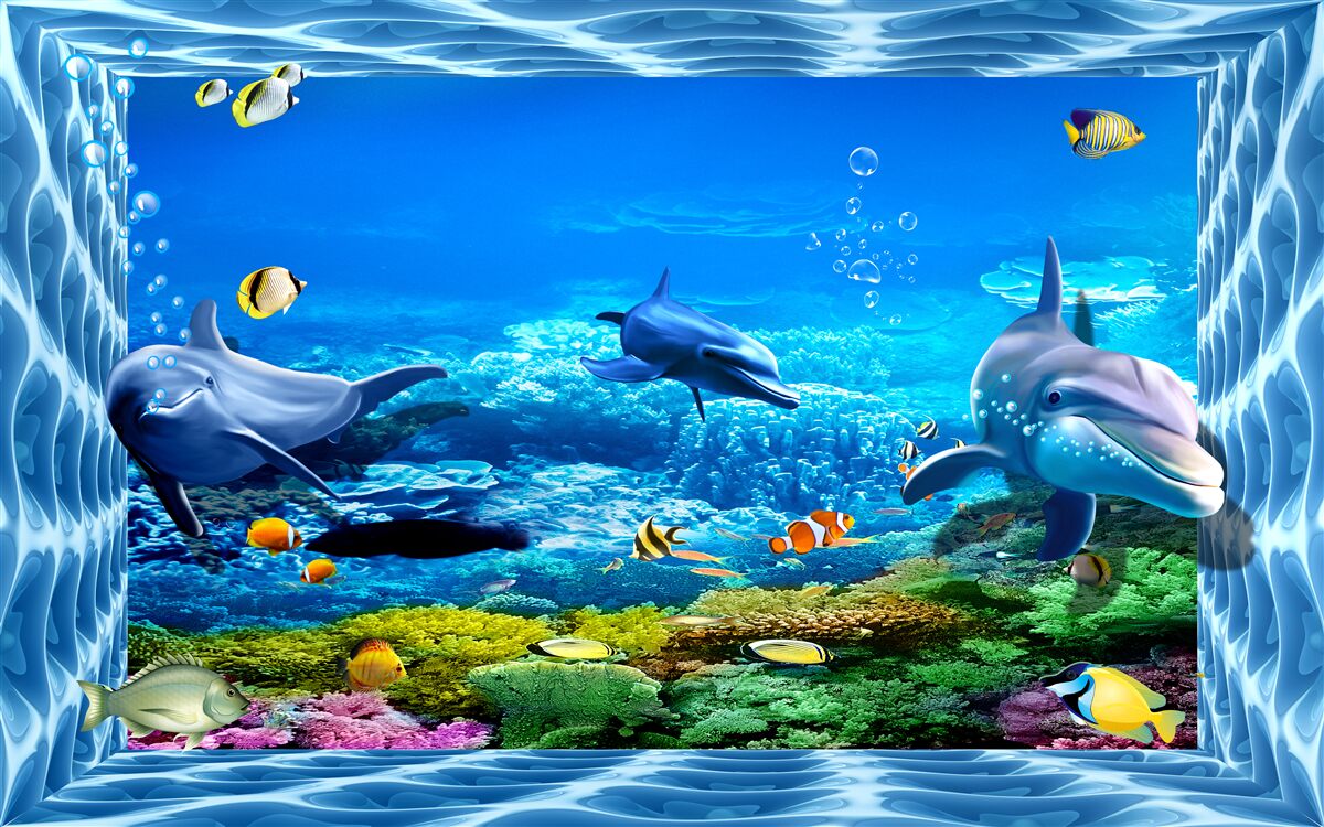 Фотошпалери дельфіни у водному зоопарку