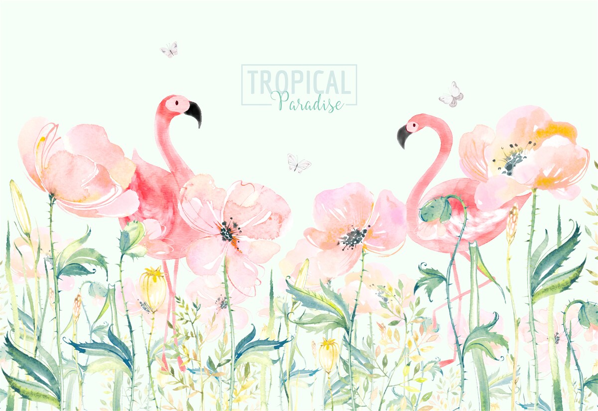 Фотошпалери Фламінго - це вид птахів, які вміють плавати