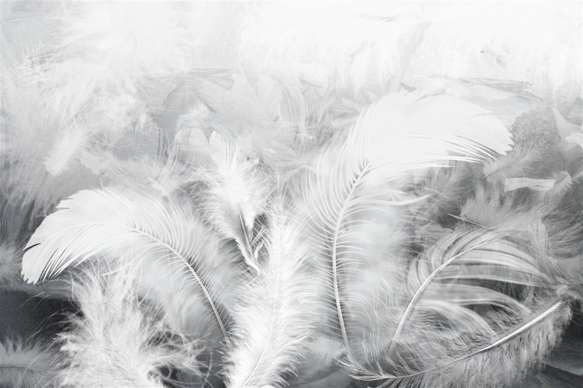 Фотошпалери сучасні авіаційні джойстики