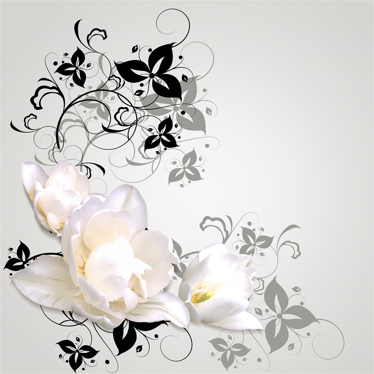 Фотошпалери на сірому тлі зображено латаття з темним листям