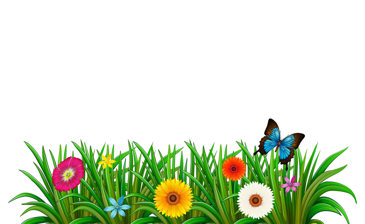 Фотошпалери метелик сидить на траві з герберами