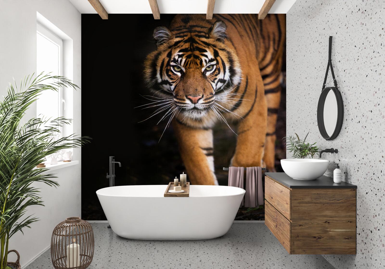 Фотошпалери тигр рухається непомітно