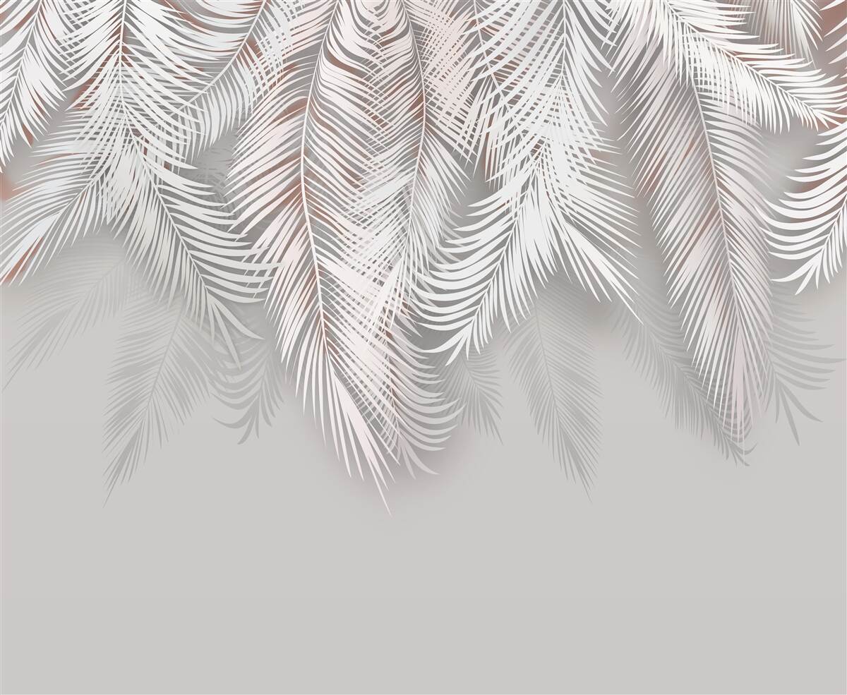 Фотошпалери світло-сіре пальмове листя