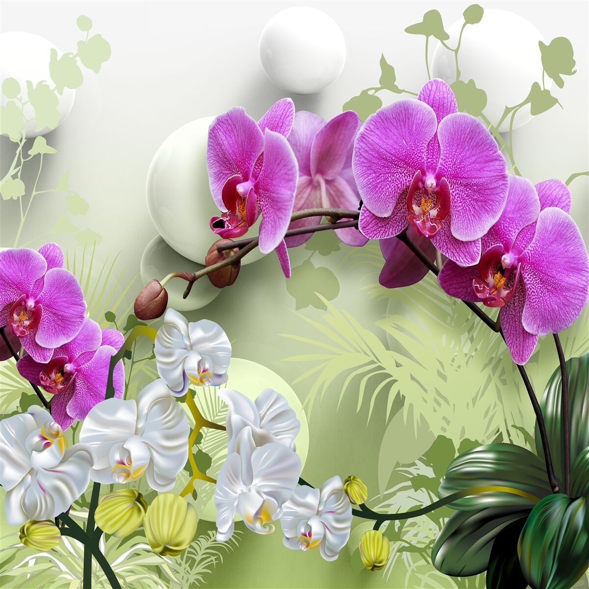 Фотошпалери фіолетова орхідея на гілках