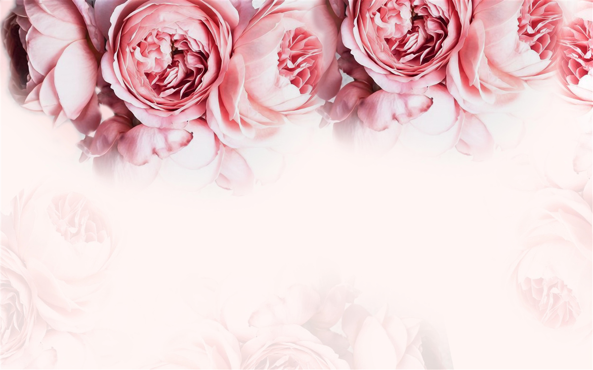 Фотошпалери півонії в рожево-білому кольорі на світлому тлі