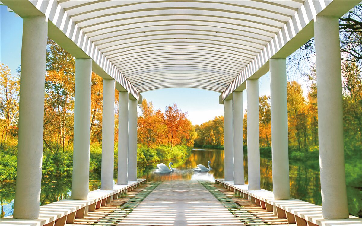 Фотошпалери осіннє оздоблення лісу на панорамному фоні