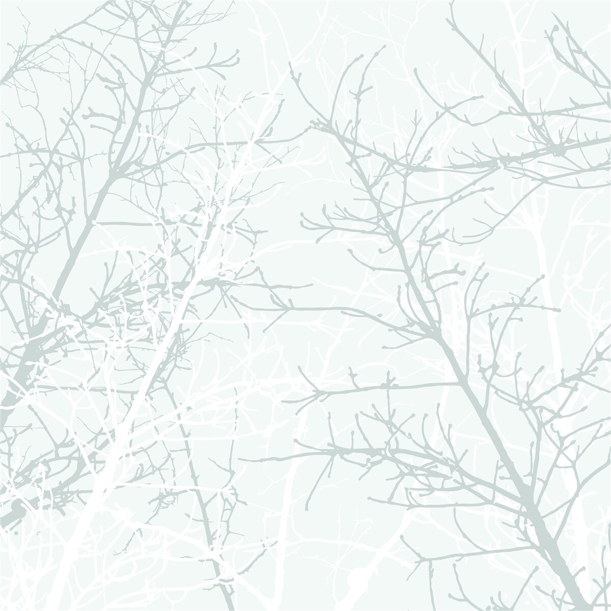 Фотошпалери тонкі гілки дерев восени