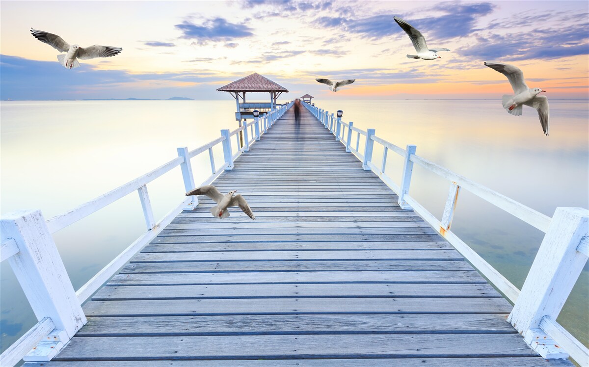 Фотошпалери дерев'яний пірс і чайки, що пролітають повз