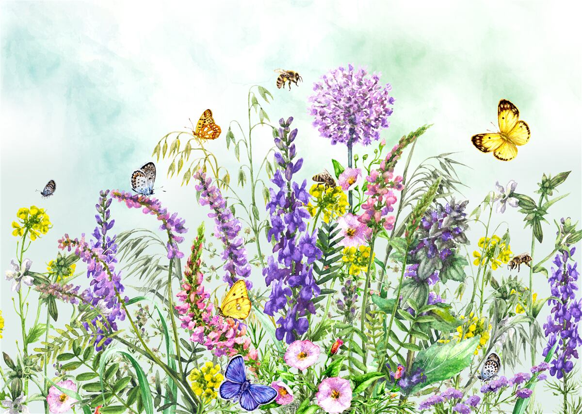 Фотошпалери лугові рослини влітку під ясним небом