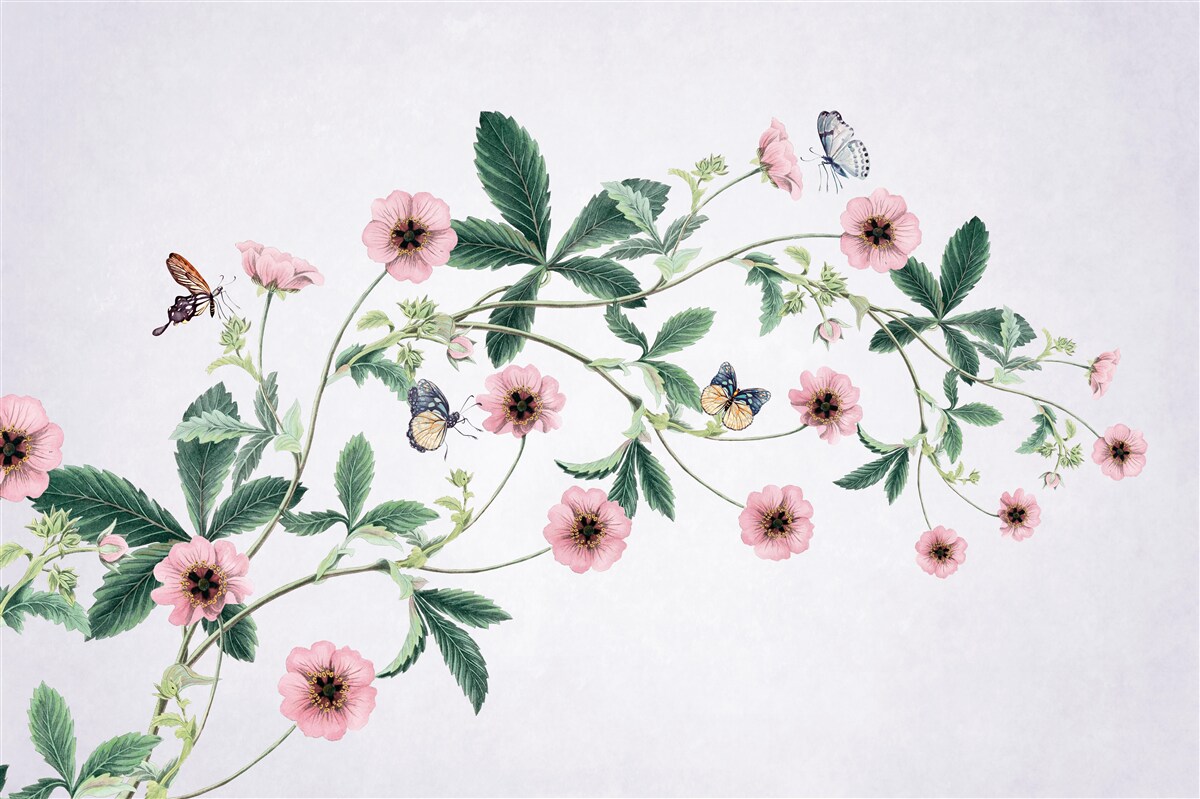 Фотошпалери рожеві бутони на гілках на сірому тлі