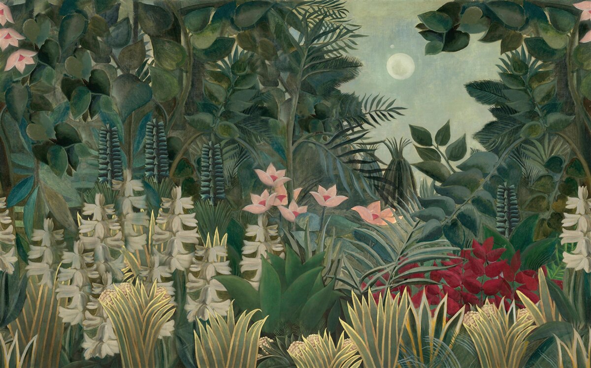 Фотошпалери місяць світить у нічному небі над зеленим тропічним лісом