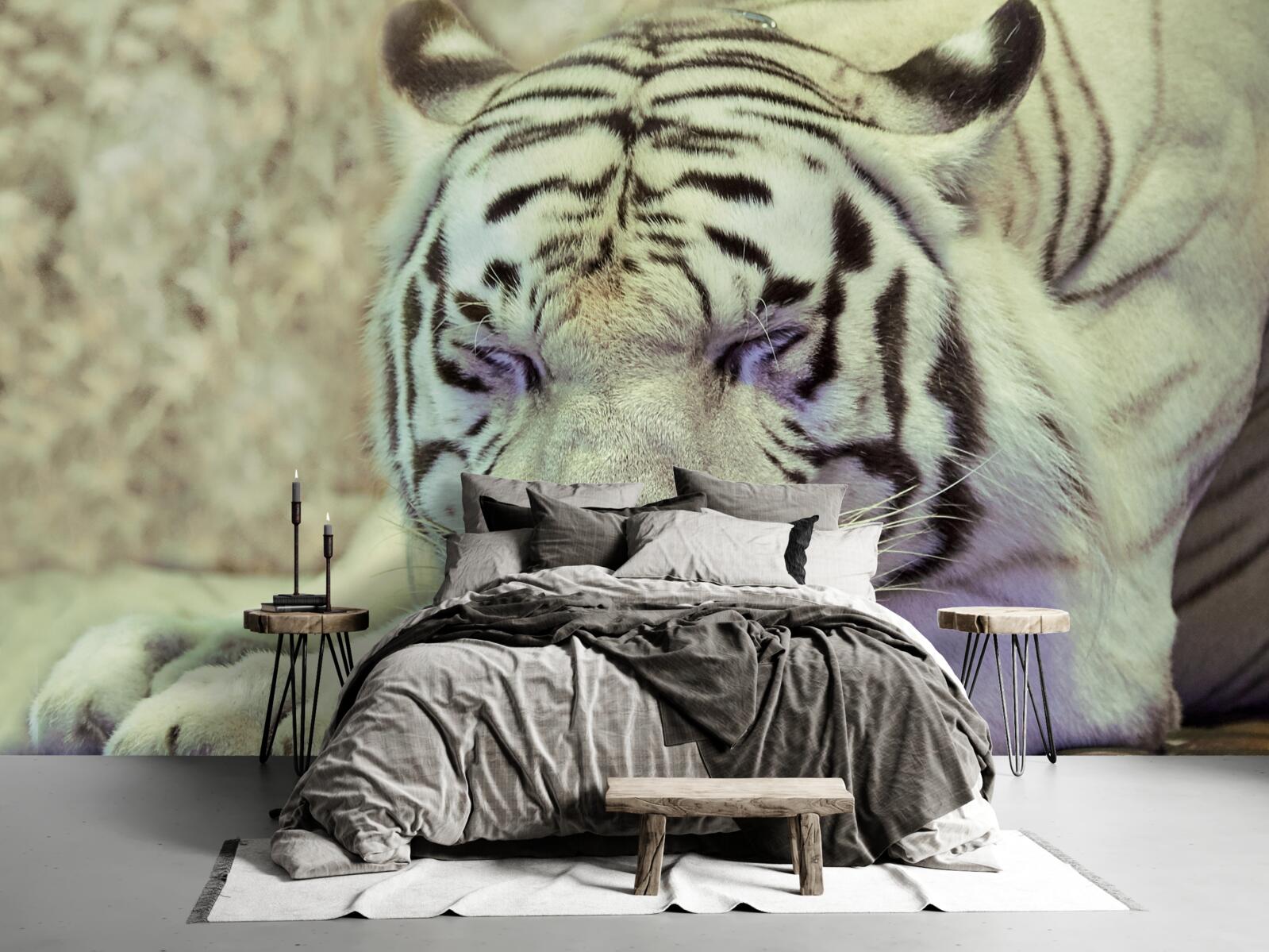Фотошпалери білий тигр у стані сну