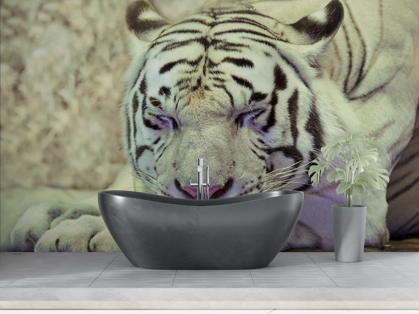 Фотошпалери білий тигр у стані сну