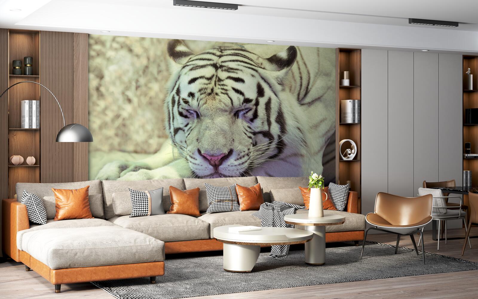 Фотошпалери білий тигр у стані сну