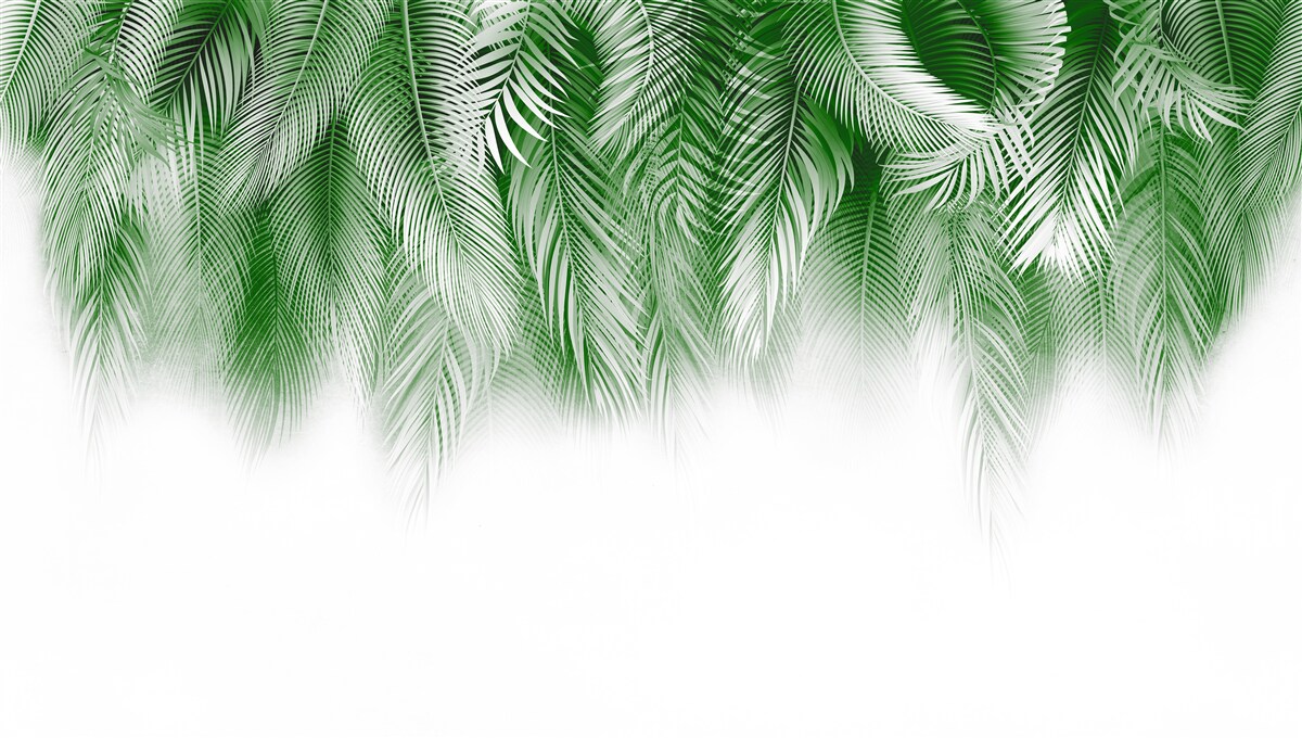 Фотошпалери світло-зелене листя папороті