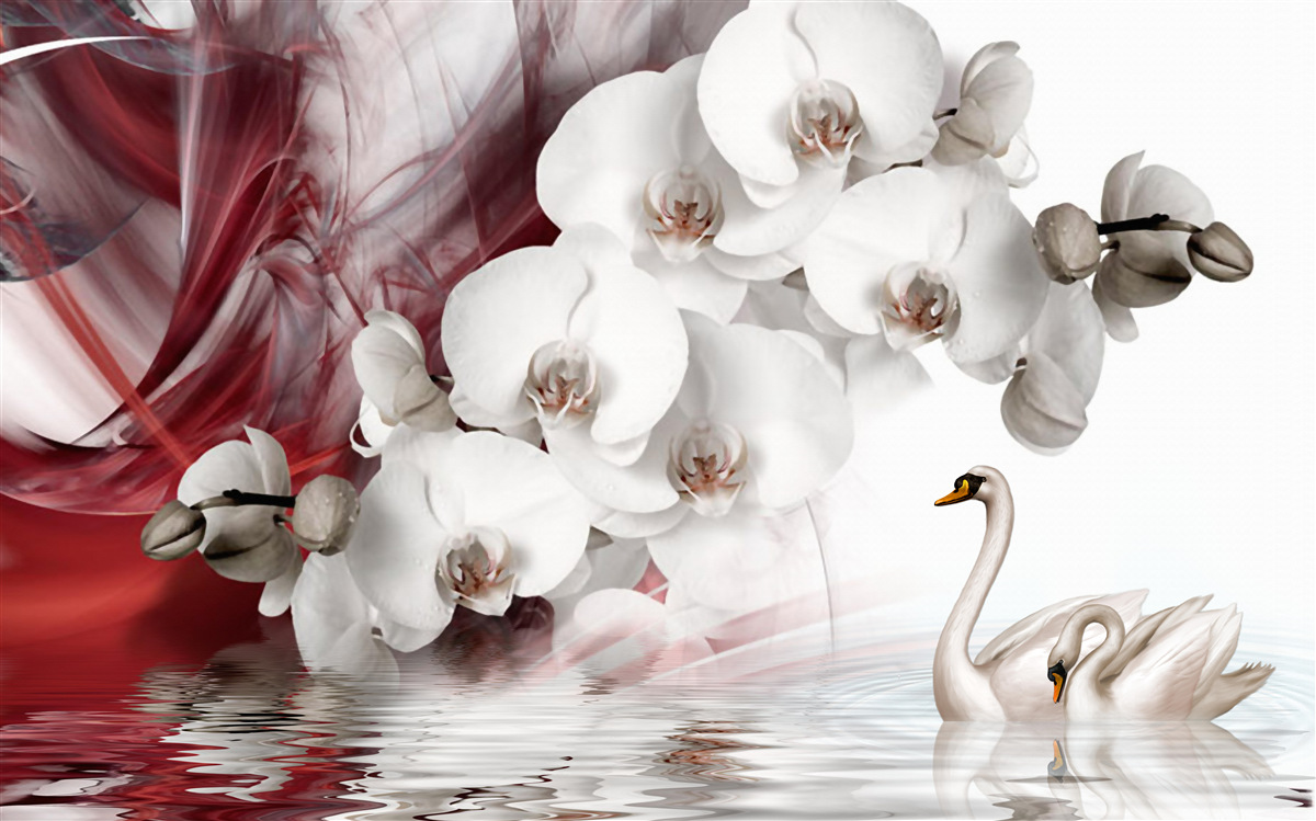 Фотошпалери орхідеї з білими бутонами біля ставка з лебедями
