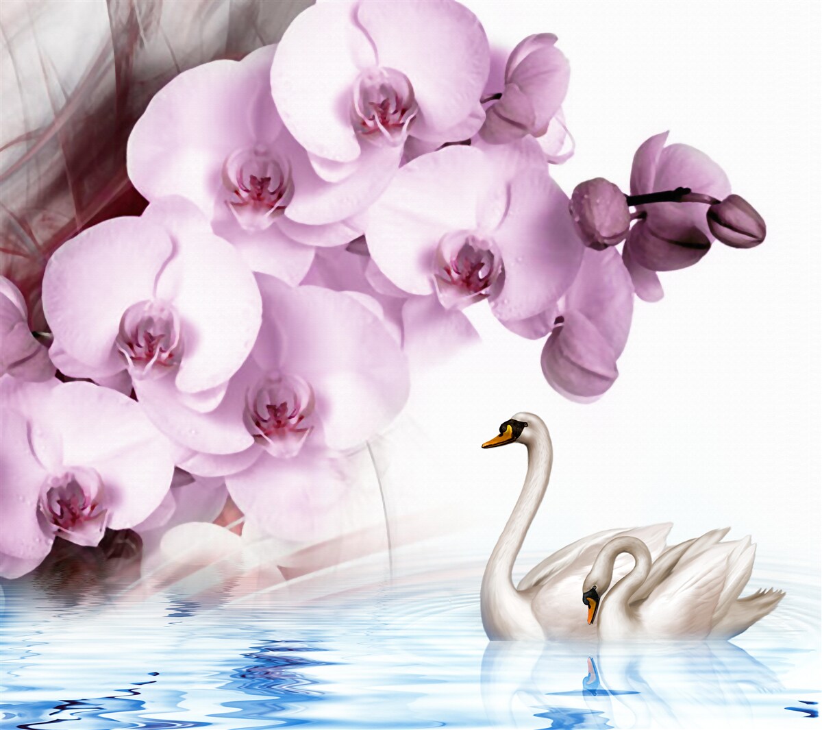 Фотошпалери лебеді на поверхні води та ніжна бузкова квітка орхідеї