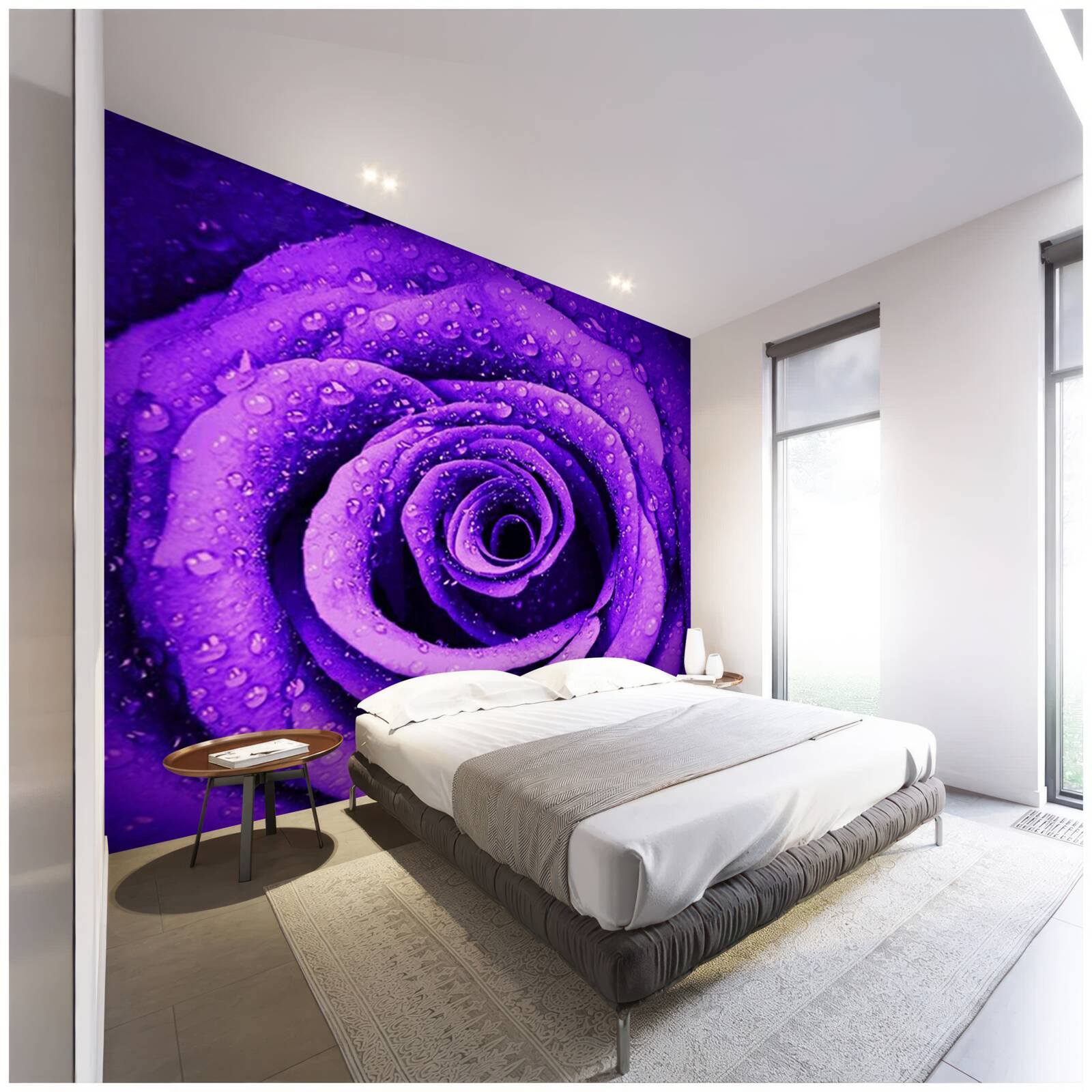 Фотошпалери крупним планом фіолетова троянда, вкрита краплями дощу