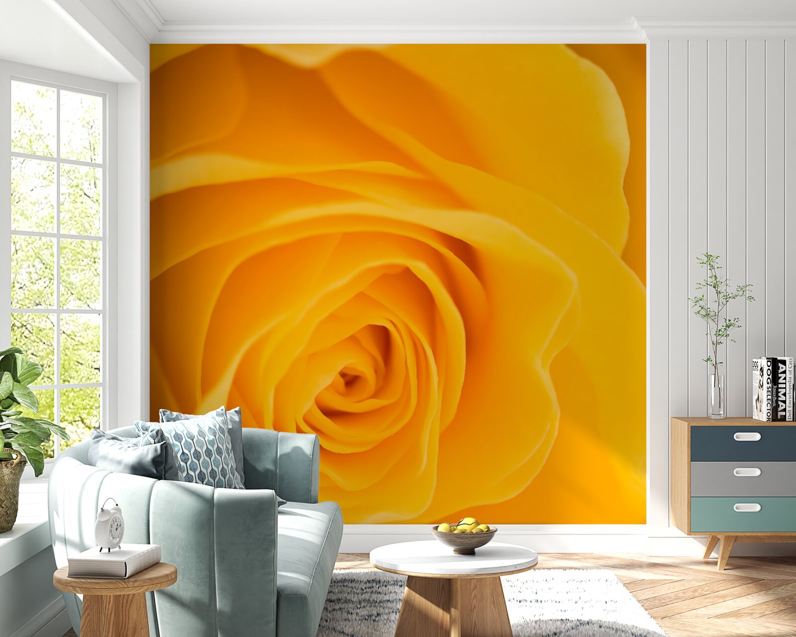 Фотошпалери пишна квітка жовтої троянди