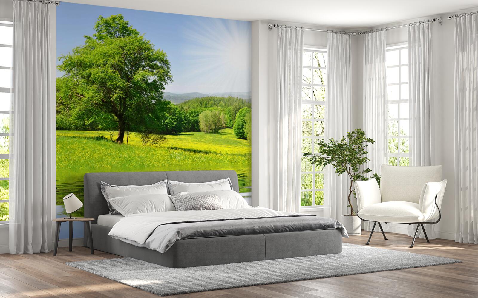 Фотошпалери яскравий день на сонячній галявині