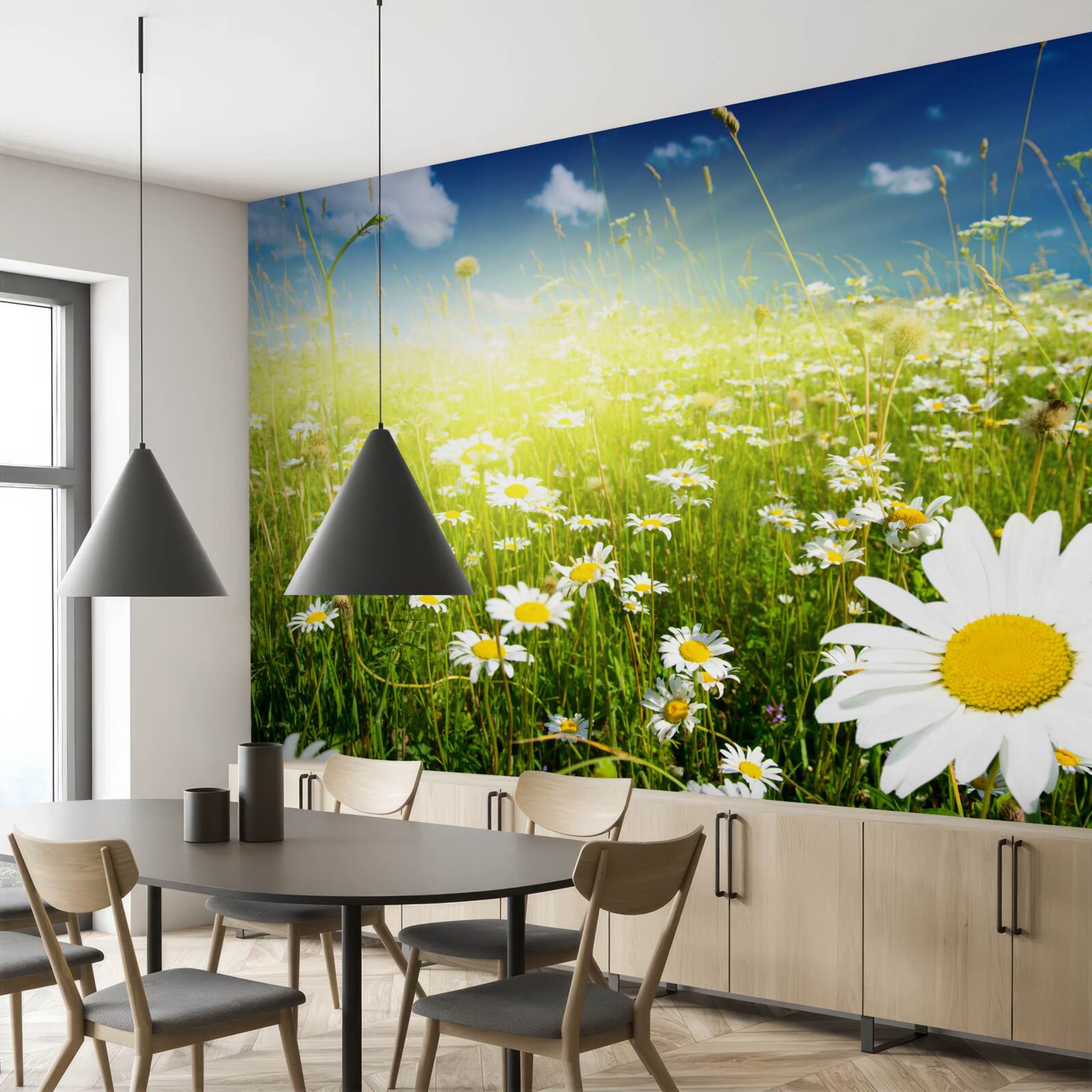 Фотошпалери луг, вкритий ромашками на світанку