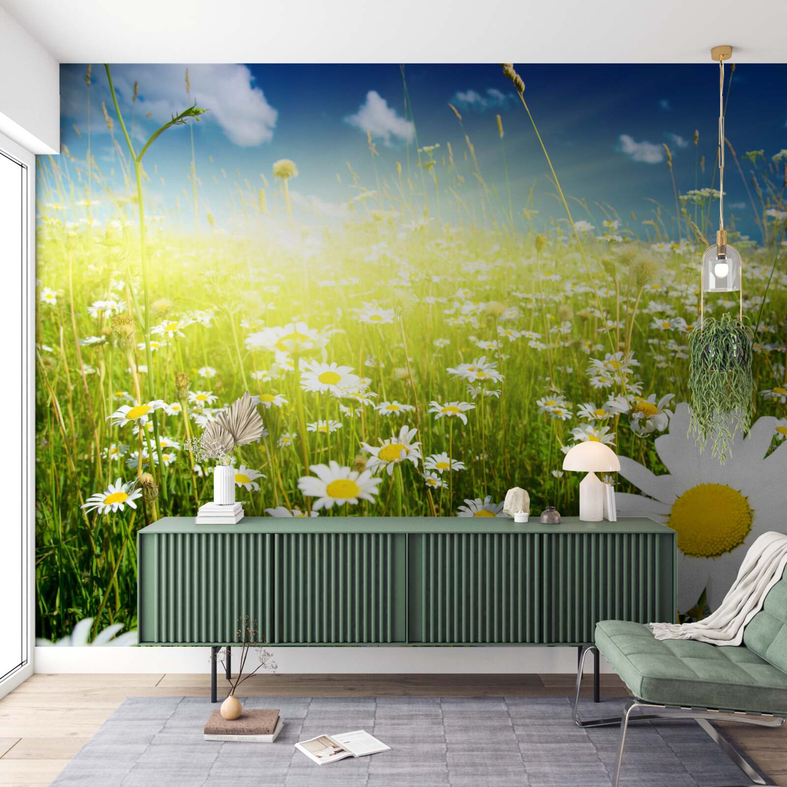 Фотошпалери луг, вкритий ромашками на світанку