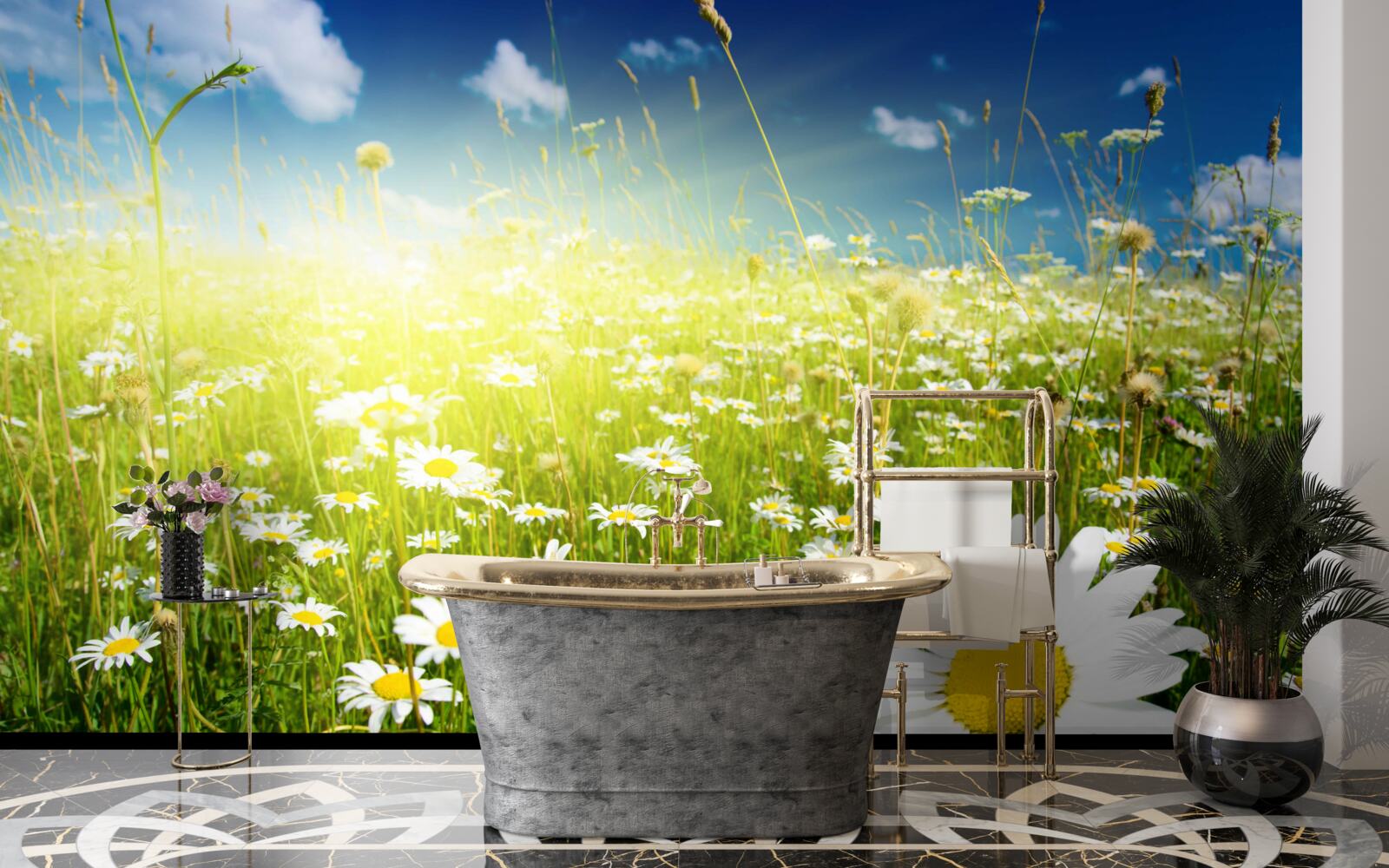 Фотошпалери луг, вкритий ромашками на світанку