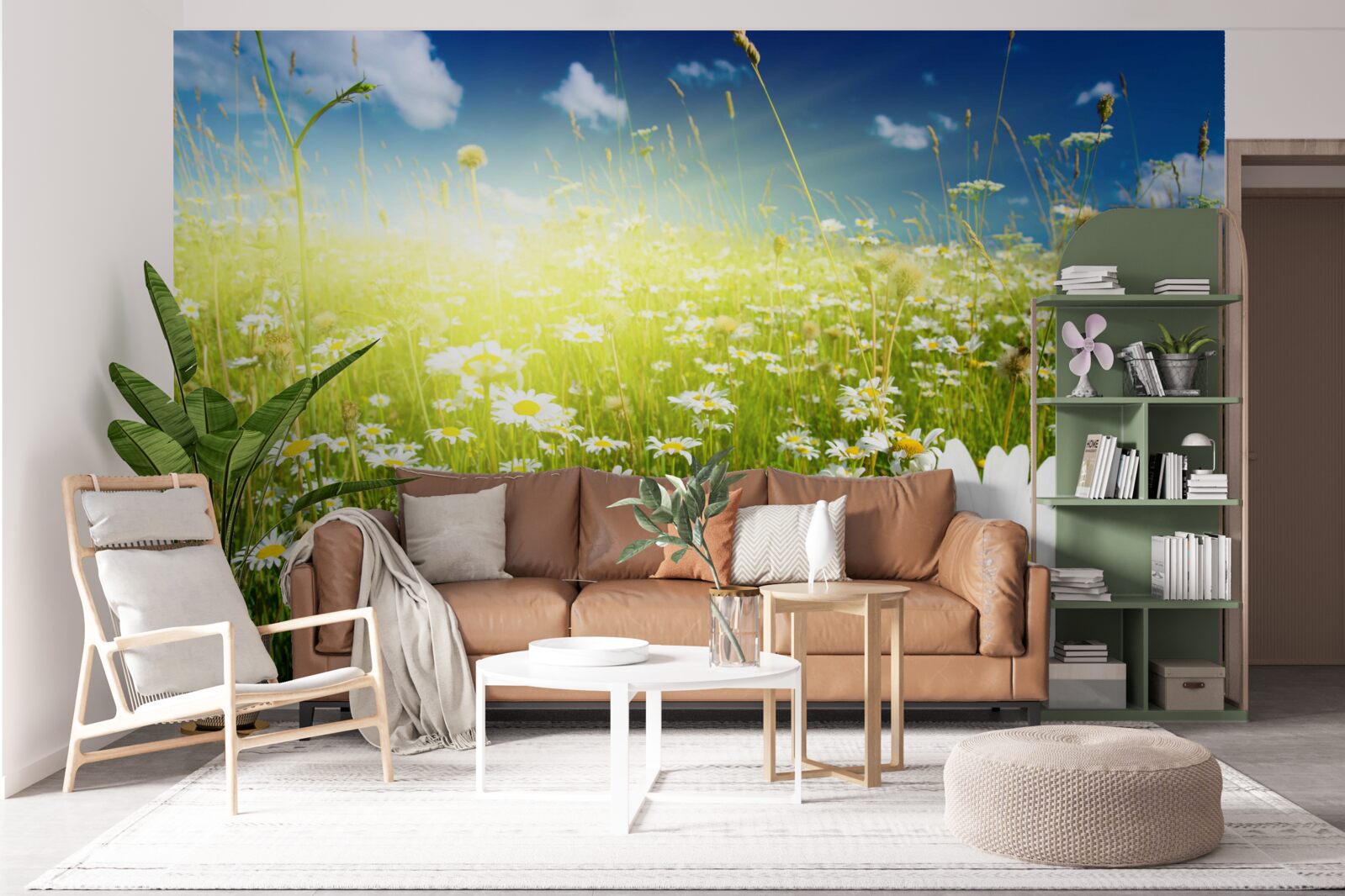 Фотошпалери луг, вкритий ромашками на світанку