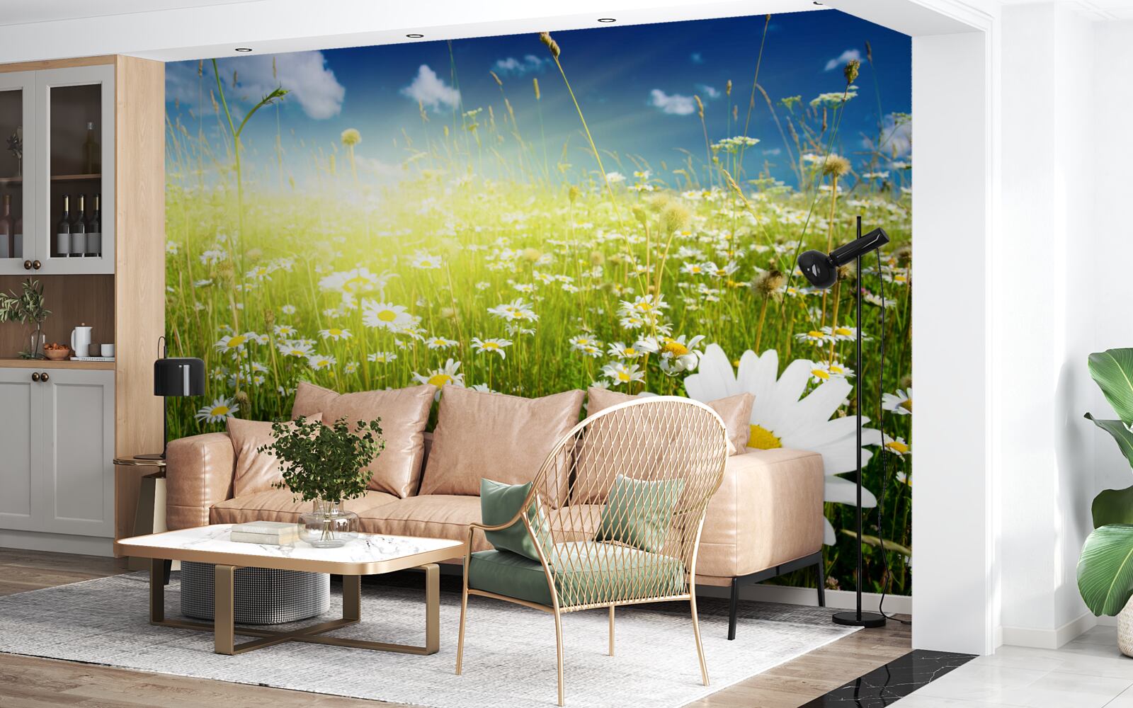 Фотошпалери луг, вкритий ромашками на світанку