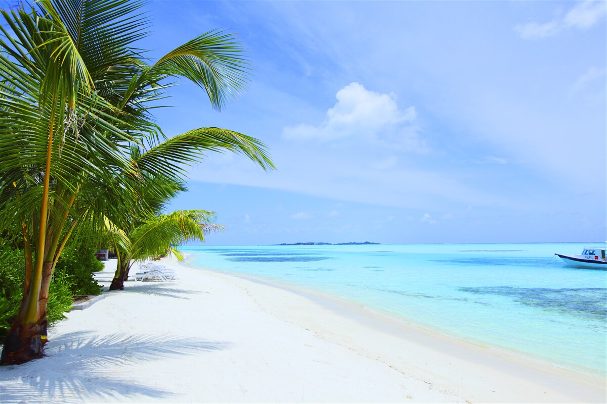 Фотошпалери бірюзові води біля тропічних берегів