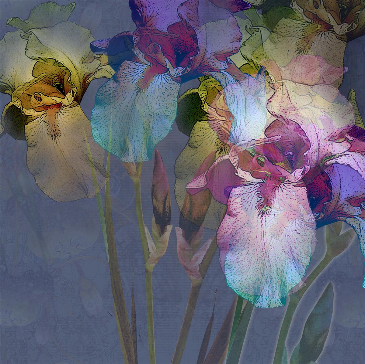 Фотошпалери нічна атмосфера серед тропічного листя