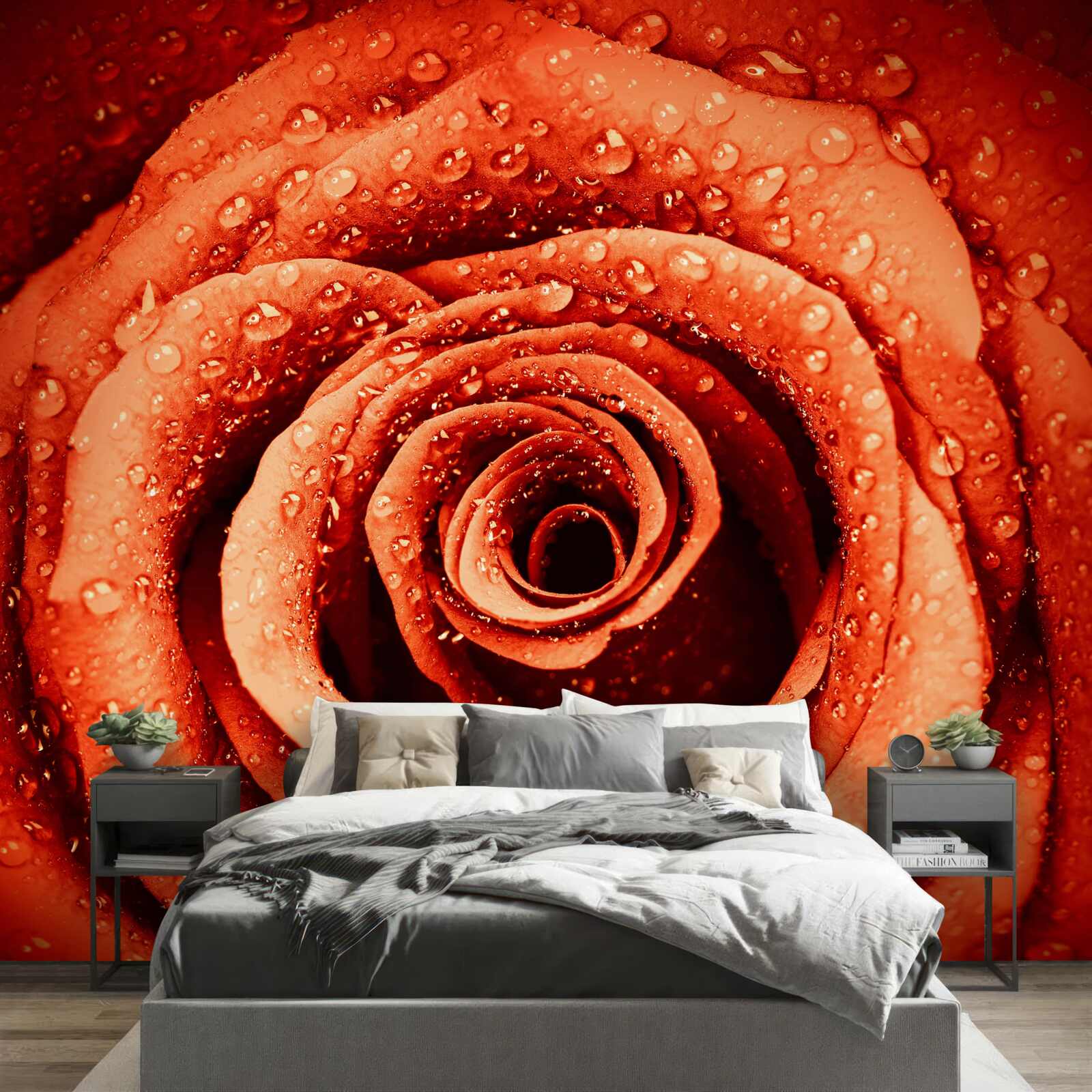 Фотошпалери краплі роси на пелюстці червоної троянди