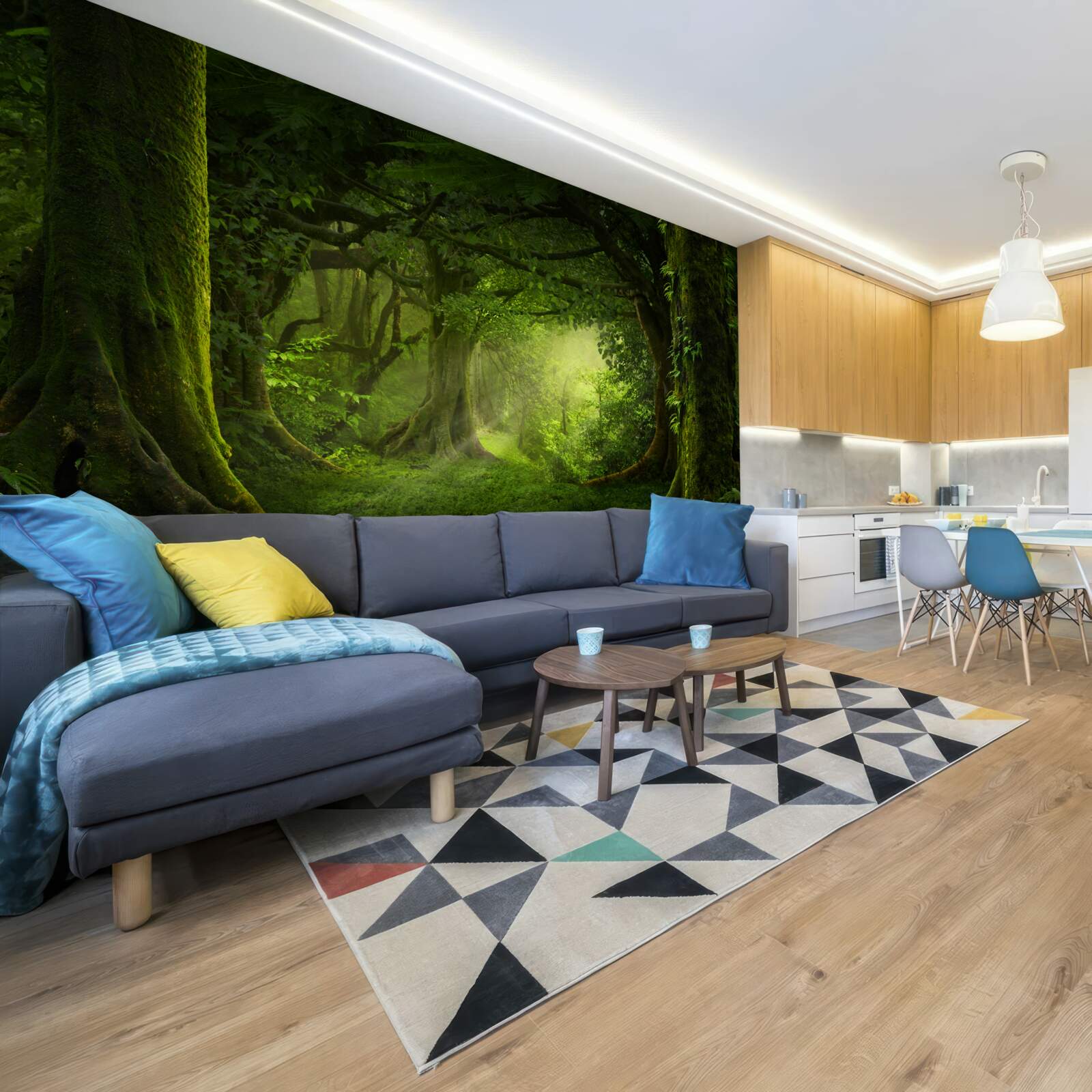 Фотошпалери сонячні промені проникають крізь густі дерева лісу