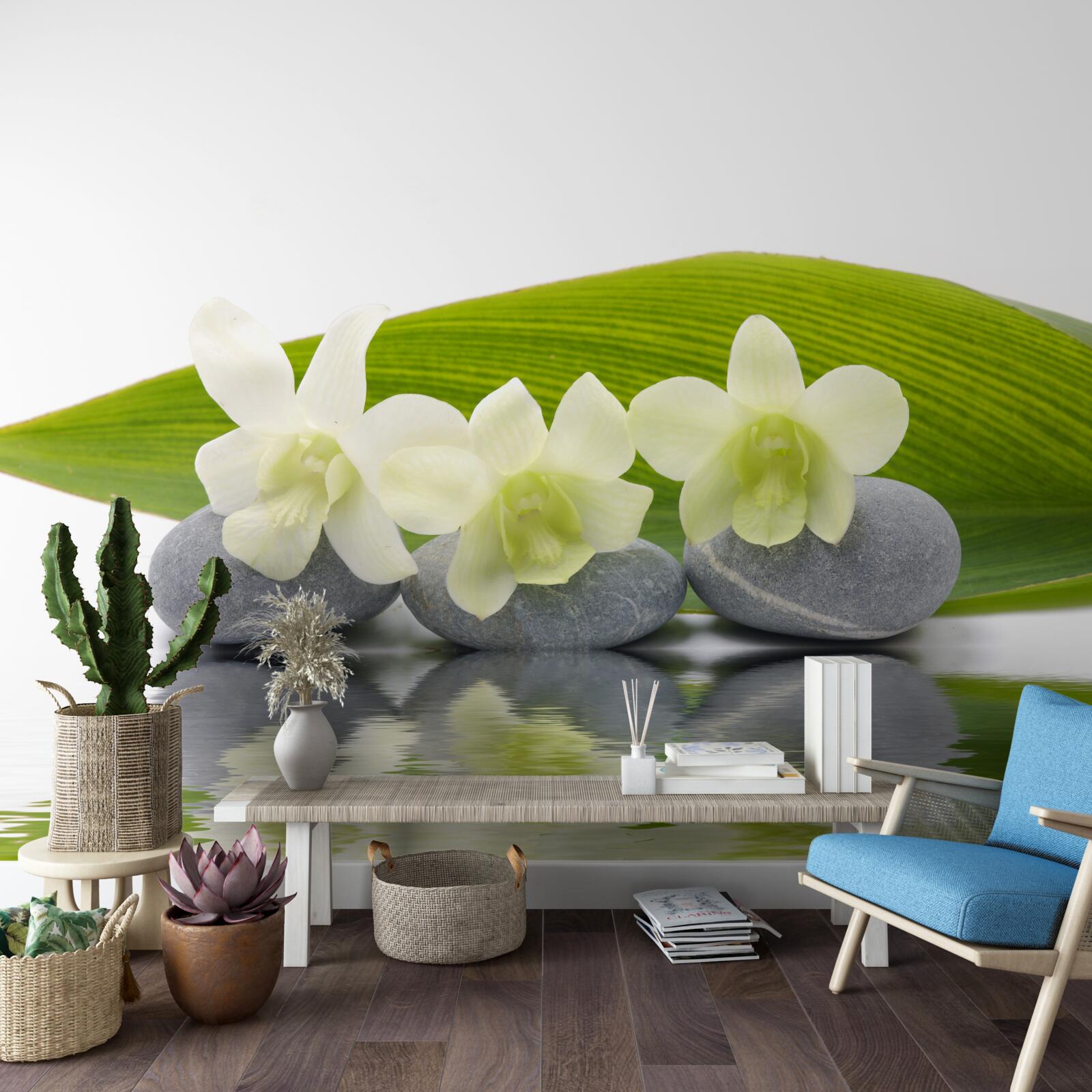 Фотошпалери лінія на поверхні води