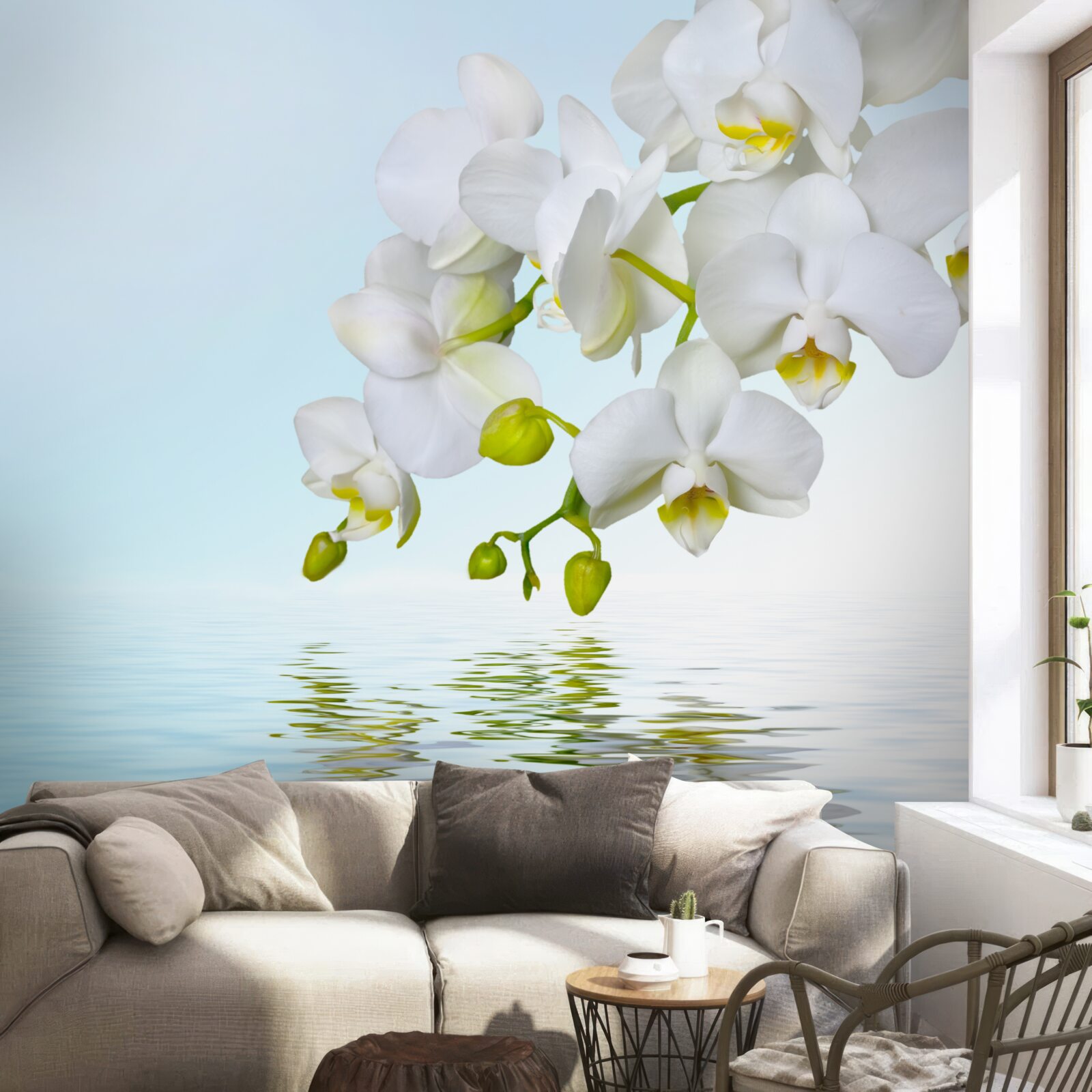 Фотошпалери гілка білої орхідеї біля спокійної води