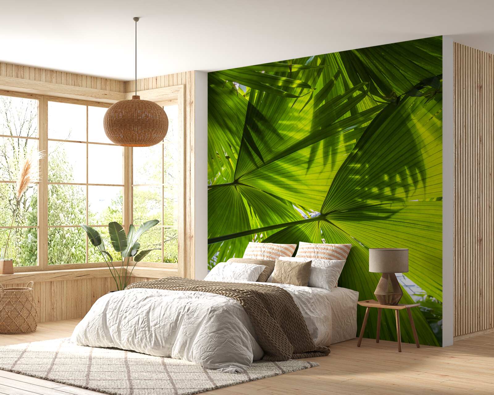 Фотошпалери сонце затуляє листя папороті