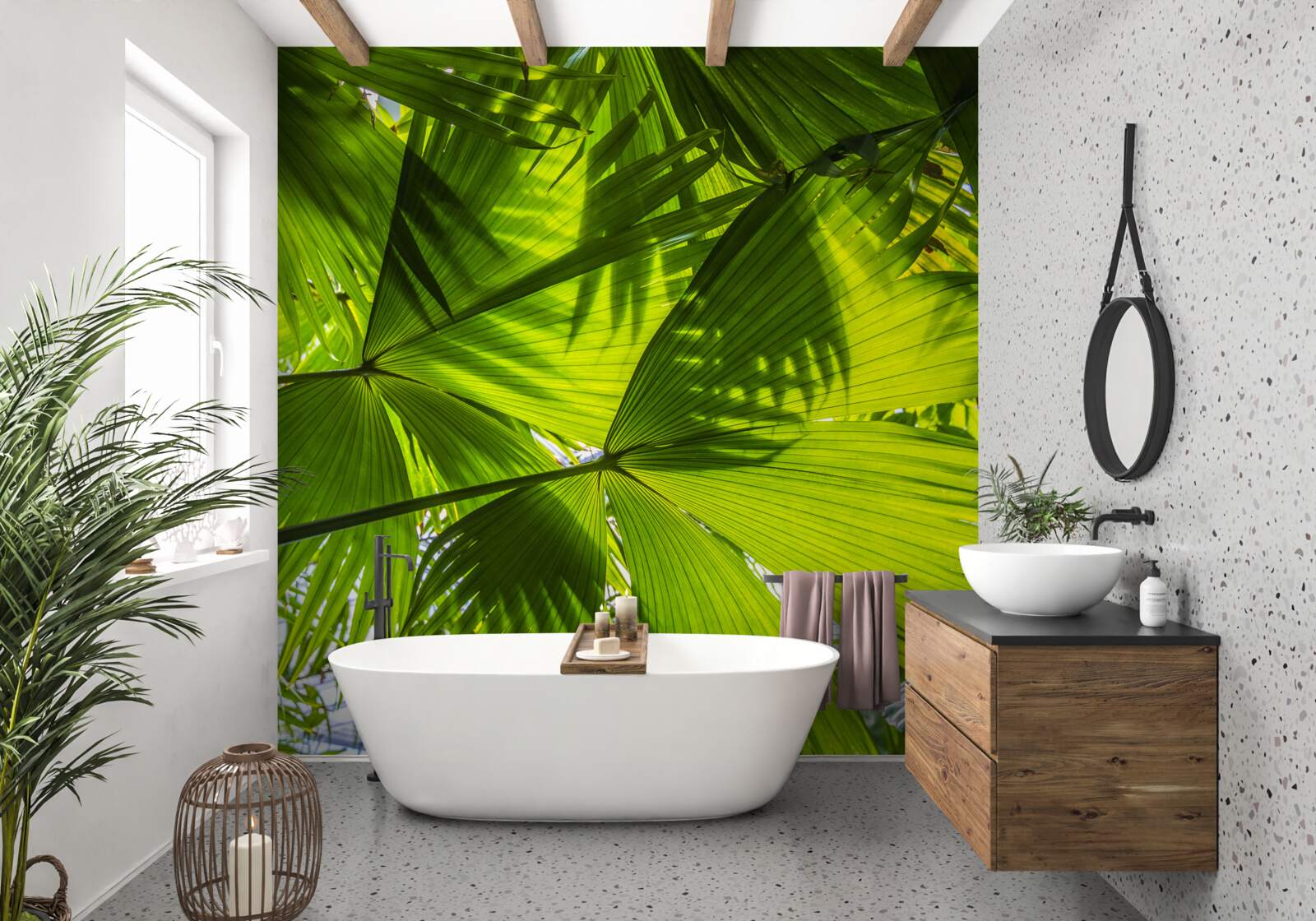 Фотошпалери сонце затуляє листя папороті