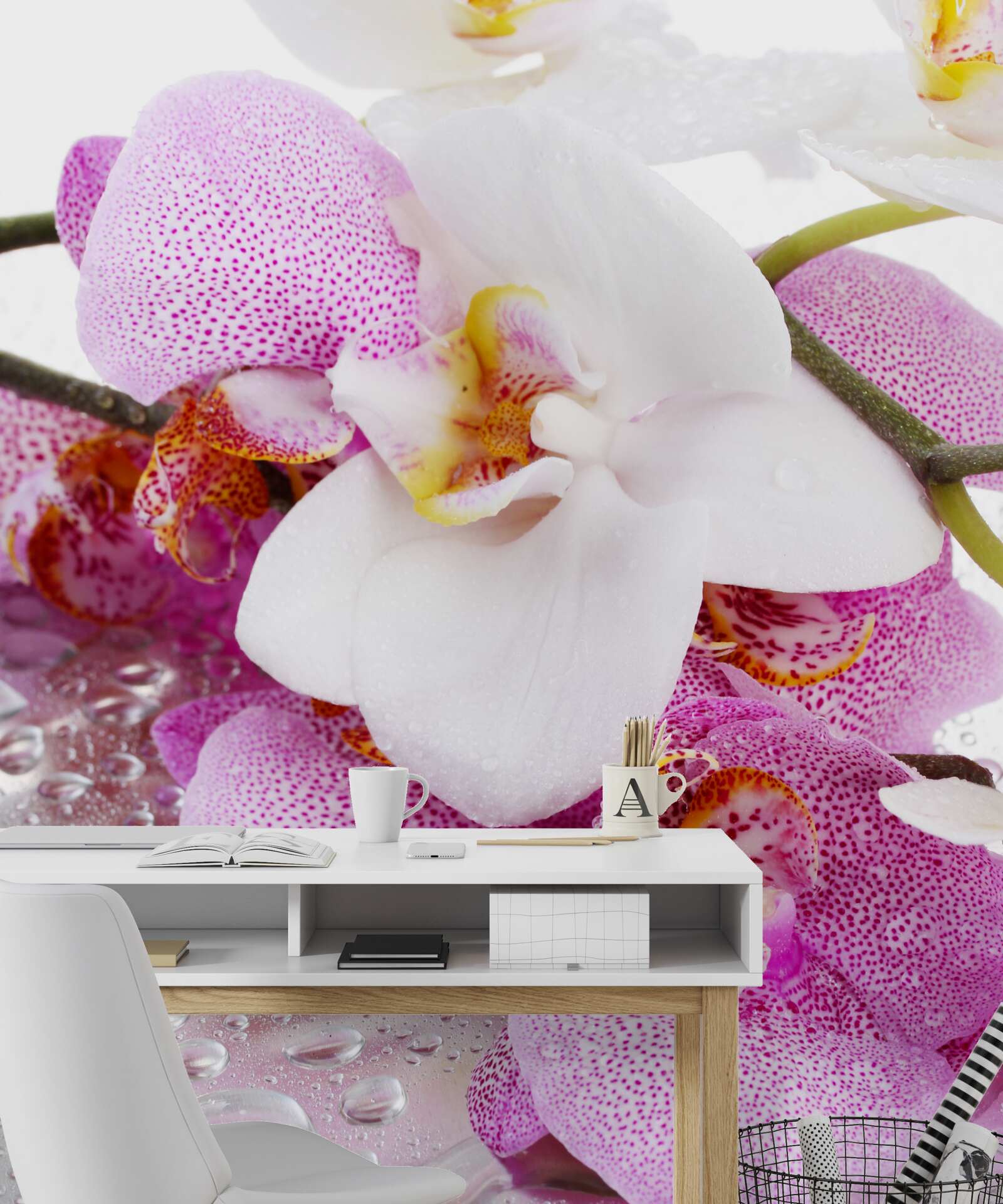 Фотошпалери орхідеї з білими та рожевими пелюстками